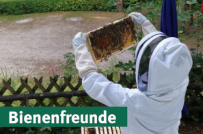 BIENENFREUNDE