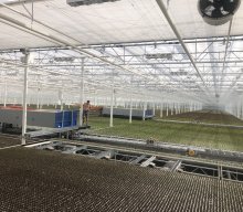 Gartenbaubetrieb 2025