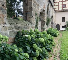 Wanderung &amp; Stadtführung in Lauf