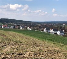 Glatzenstein von Schnaittach