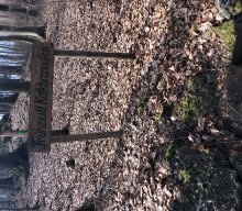 Glatzenstein von Schnaittach