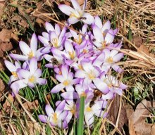 Wanderung Glatzenstein