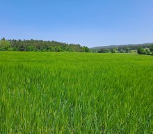 Themenwanderung &quot;Wasser&quot; Ranna