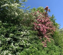 Themenwanderung &quot;Wasser&quot; Ranna