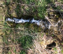 Von Schnaittach nach Osternohe