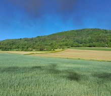 Wanderungen &raquo; Wanderung & Dampfbahn 2025