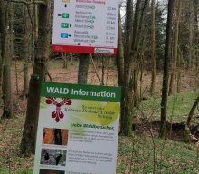 Wanderung Altdorf