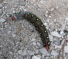 Wanderung Ungelstetten