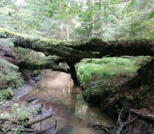 Wanderung Ungelstetten