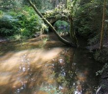 Wanderung Ungelstetten