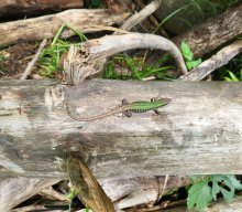 #kontrollbesuch Passau