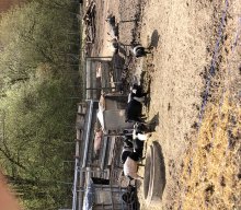 Wanderung der Senioren nach Lieritzhofen