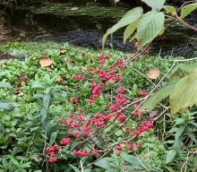 Wanderung der Musikgruppe 2024