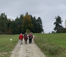 Wanderung der Musikgruppe 2024