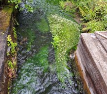Wanderung mit Dampfbahnfahrt
