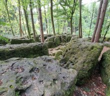 Wanderung mit Dampfbahnfahrt