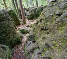 Wanderung mit Dampfbahnfahrt