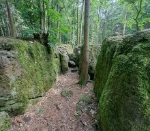 Wanderung mit Dampfbahnfahrt