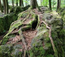 Wanderung mit Dampfbahnfahrt