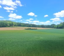 Wanderung & Dampfbahn 2025